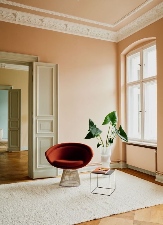 Peach Summer Paint Colour