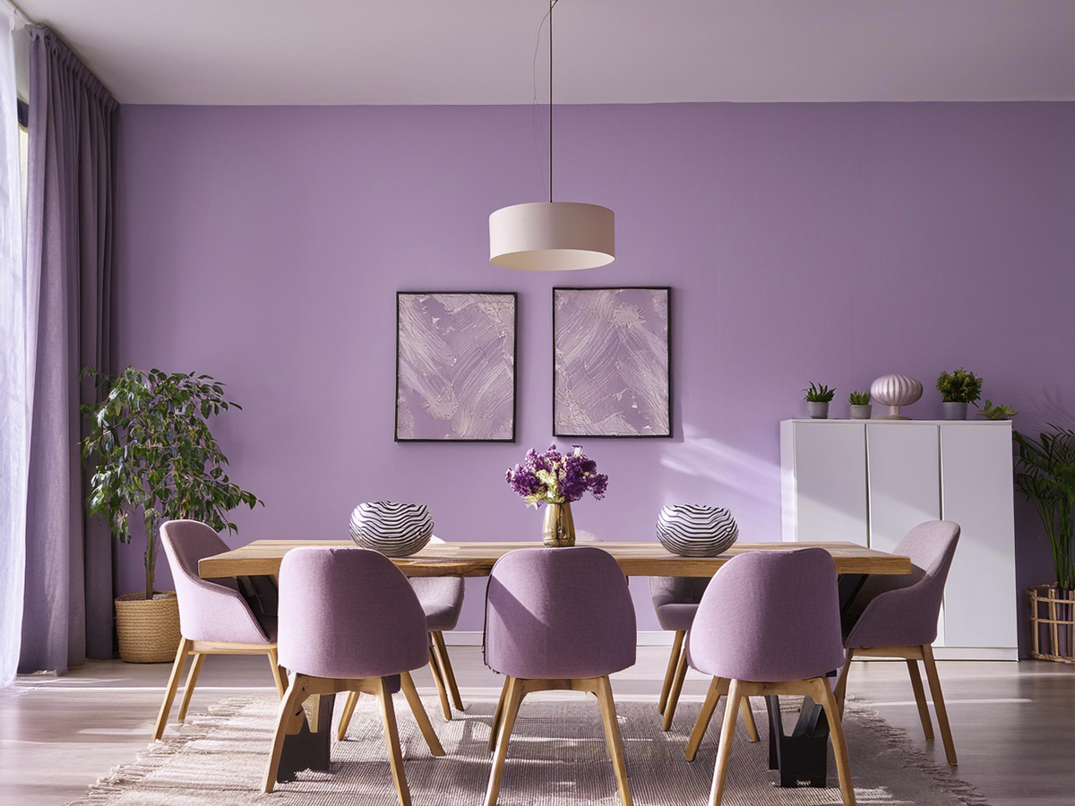  Light lavender Dining room colour